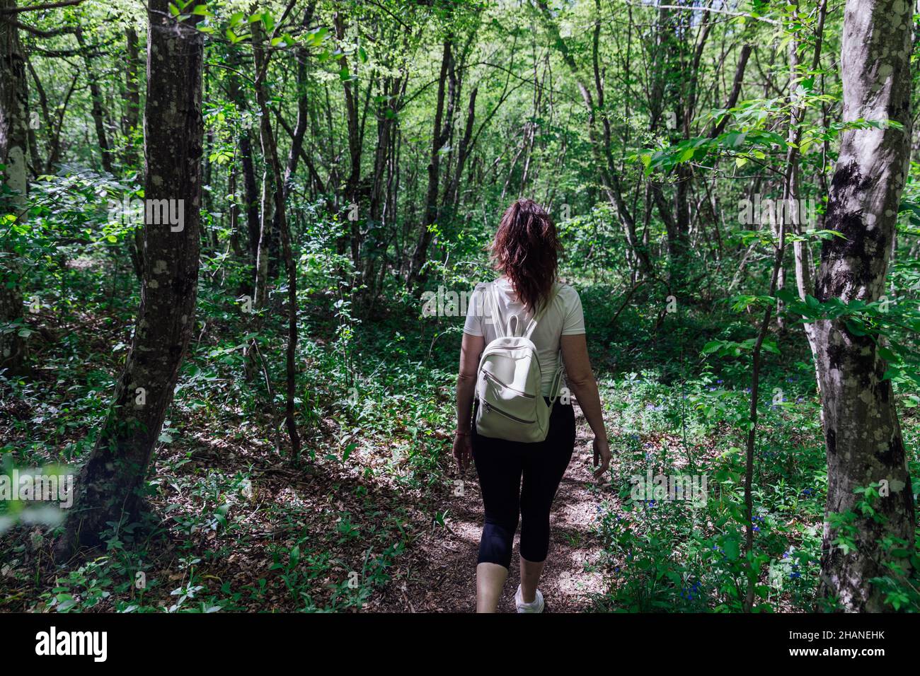 donna turistica che cammina attraverso la foresta verde in un viaggio Foto Stock