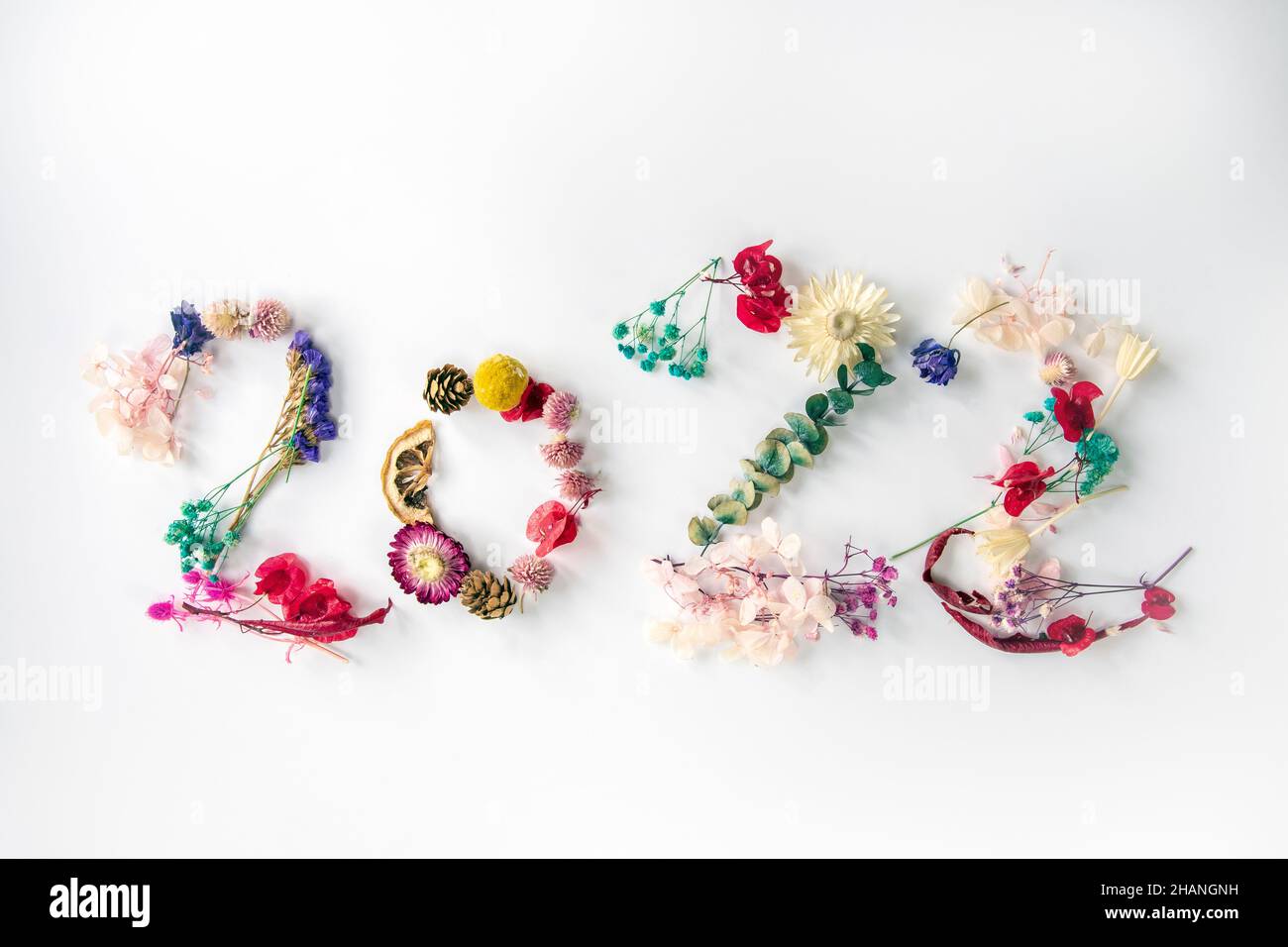2022 numero di piante, fiori e foglie di primavera fresche e colorate. Felice anno nuovo concetto isolato su sfondo bianco. 2022 background creativo Foto Stock