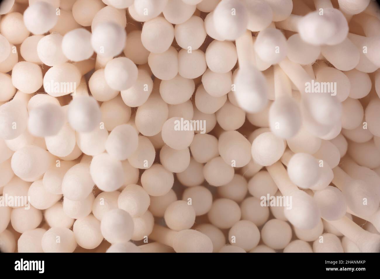 Primo piano medicinale Still-life di boccioli di cotone, tamponi di cotone. Foto Stock
