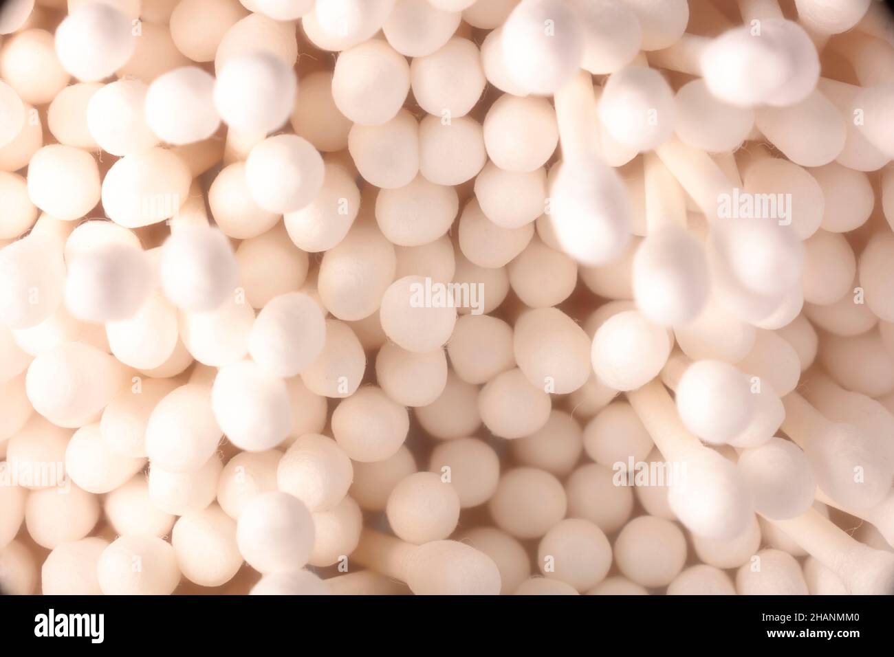 Primo piano medicinale Still-life di boccioli di cotone, tamponi di cotone. Foto Stock