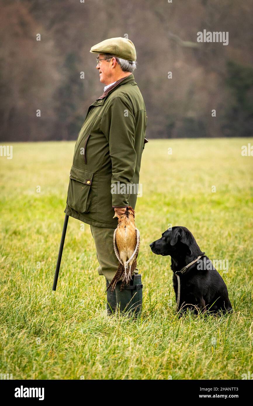 Gentleman gun in piedi al fagiano del colpo di presa del PEG con il suo gundog seduto dietro al sparatutto del fagiano, Hampshire, Inghilterra. Foto Stock