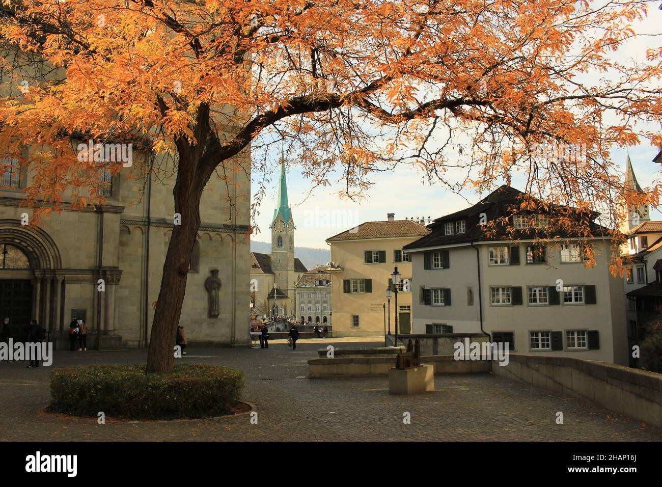 ZURIGO, SVIZZERA - 7 NOVEMBRE 2021: Grossmünsterplatz in autunno (Zürich, Svizzera). Autunno in Svizzera o in Europa Foto Stock