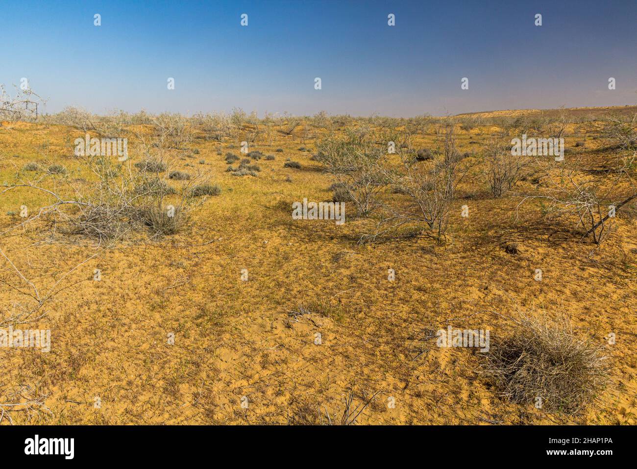 Vista del deserto del Karakum in Turkmenistan Foto Stock