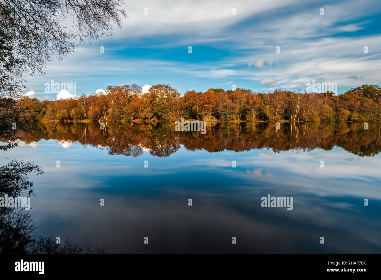 Slaugham Mill stagno durante l'autunno, Saugham, West Sussex, Inghilterra, Regno Unito. Foto Stock