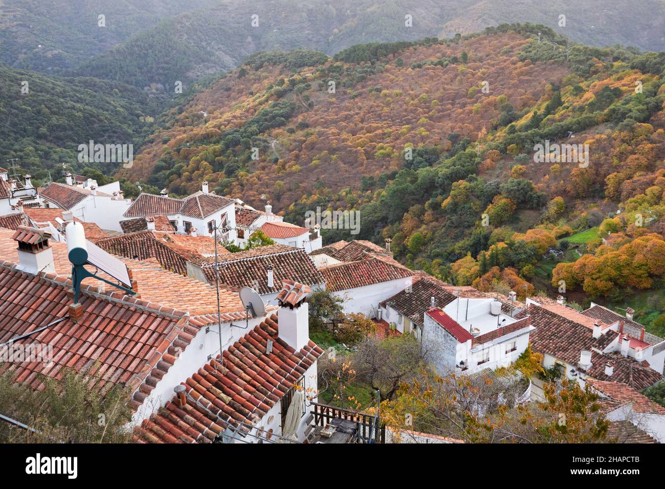 Benalauria, un villaggio della provincia di Malaga, situato nella valle del Genal. Andalusia, spagna Foto Stock