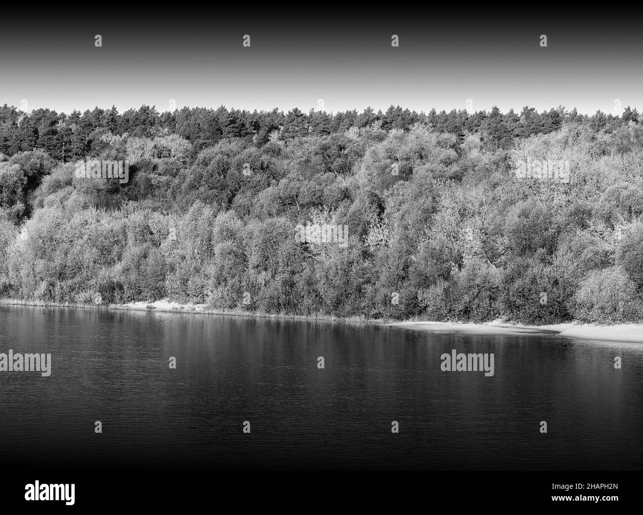 Foresta densa sul fiume spiaggia paesaggio sfondo Foto Stock