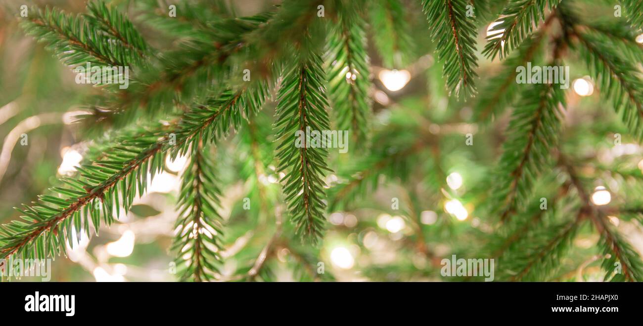 Garland sull'albero fuori. Albero di Natale decorato con luci di Natale, macro Foto Stock