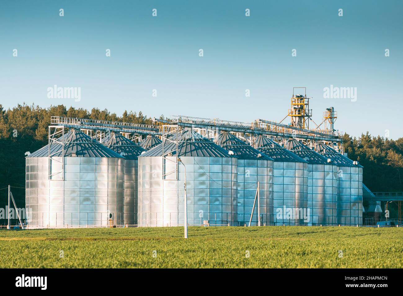Visualizza il Granaio moderno, il complesso di essiccazione del grano, il grano commerciale o i silos di semi nel paesaggio rurale di Sunny Spring. Silos per l'essiccatore del mais, terminale per la granella interna Foto Stock
