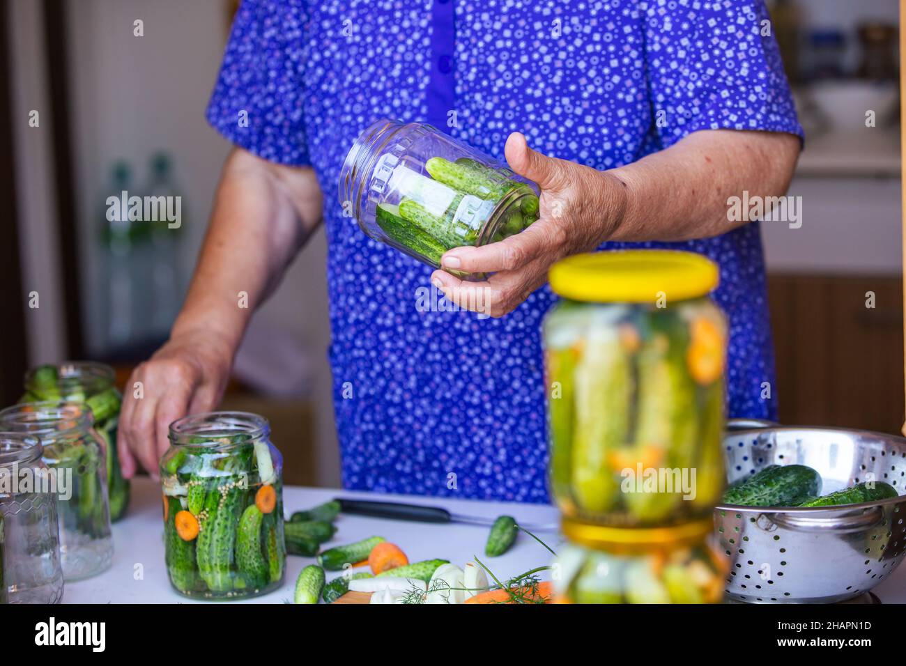 Processo di inscatolamento di un cetriolo, donna anziana inscatolando cetrioli freschi con cipolla e carote, prodotto fatto in casa, concetto di cibo Foto Stock