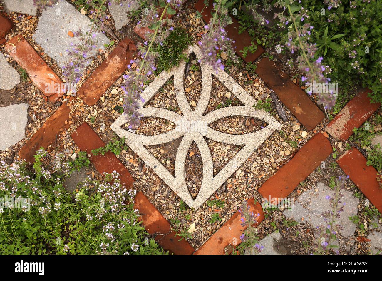 Un percorso bizzarri cottage giardino utilizzando mattoni rossi, pavimentatori in pietra rotto, e un blocco di brezza a forma di fiore di cemento, è circondato da Madre di Thyme lei Foto Stock