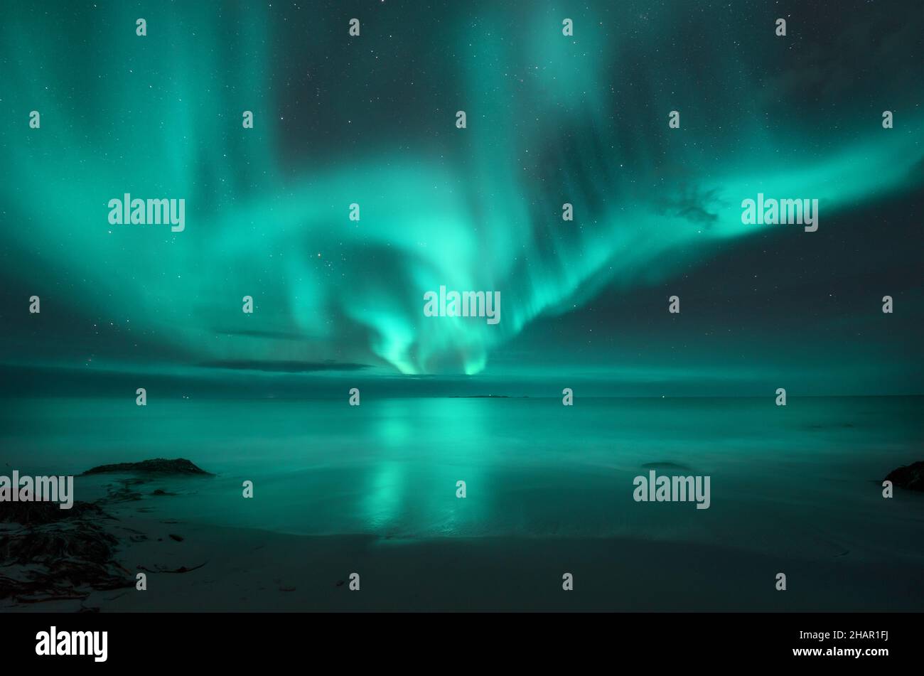 Aurora borealis sul mare. Aurora boreale nelle isole Lofoten Foto Stock