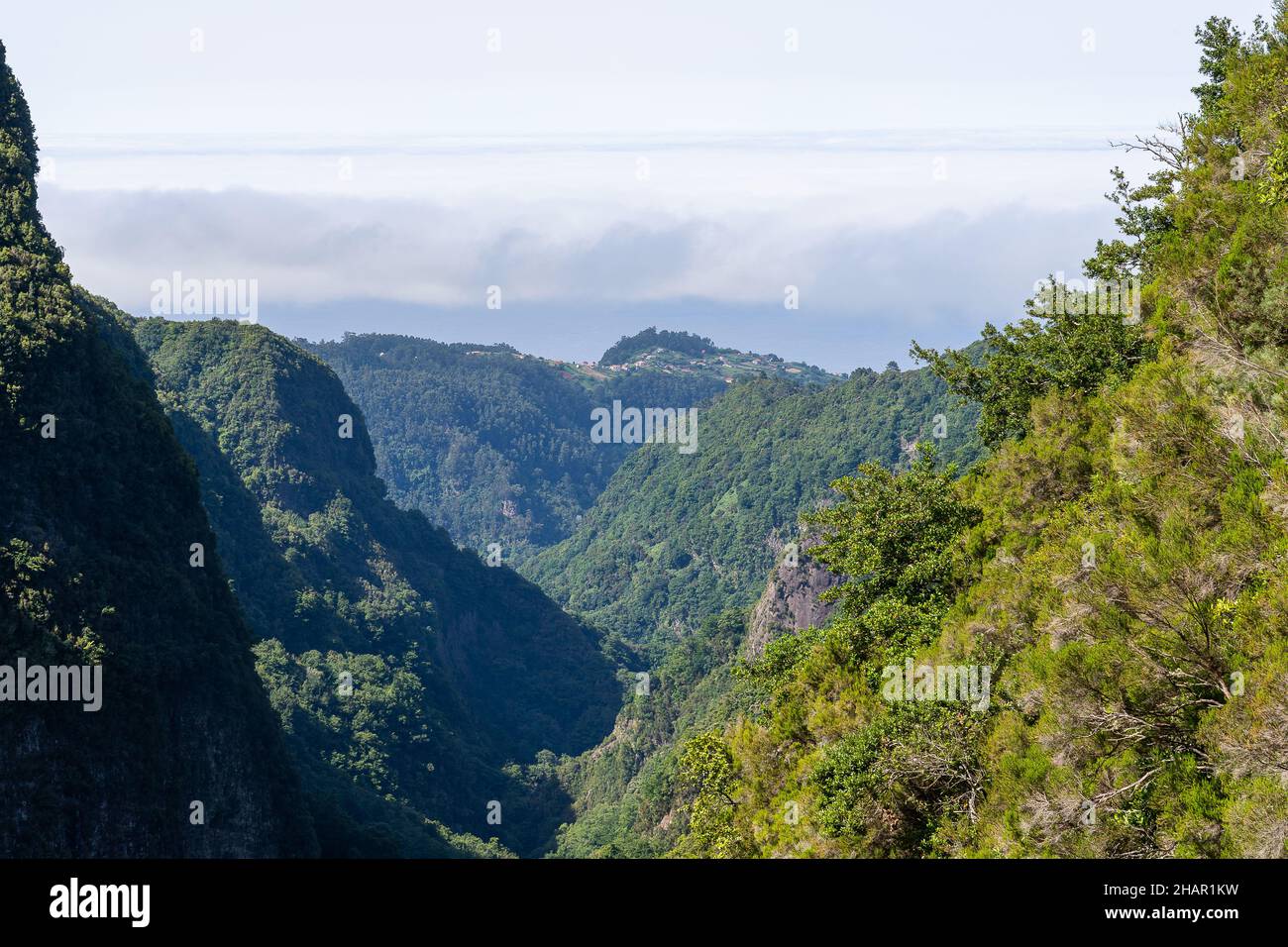 Paesaggio di montagna. Vista delle montagne sulla strada Queimadas Forestry Park - Caldeirao Verde, Isola di Madeira, Portogallo, Europa. Foto Stock