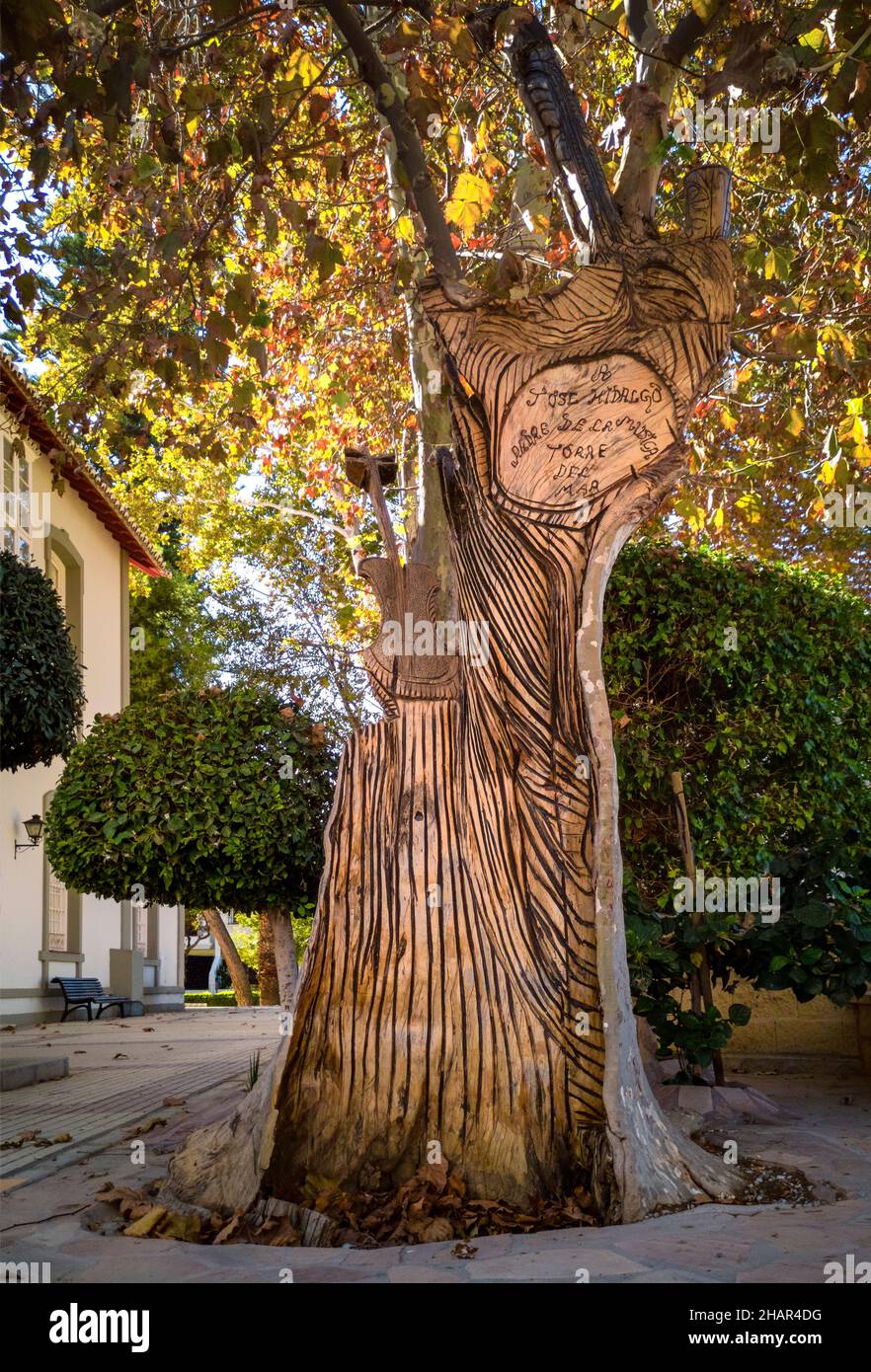 Un albero scultoreo dal vivo dedicato a José Luis Hidalgo (1919-1947), poeta e artista, vicino alla Casa Larios, Torre del mar, Provincia di Malaga, Andalusia, Foto Stock