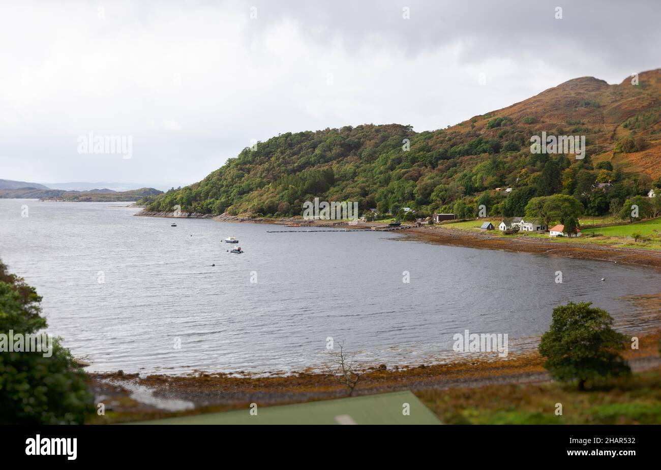 Vista elevata sul piccolo insediamento di case nell'appartata baia di Laga a Loch Sunart, vicino a Glenborrowdale nella Scozia occidentale Foto Stock