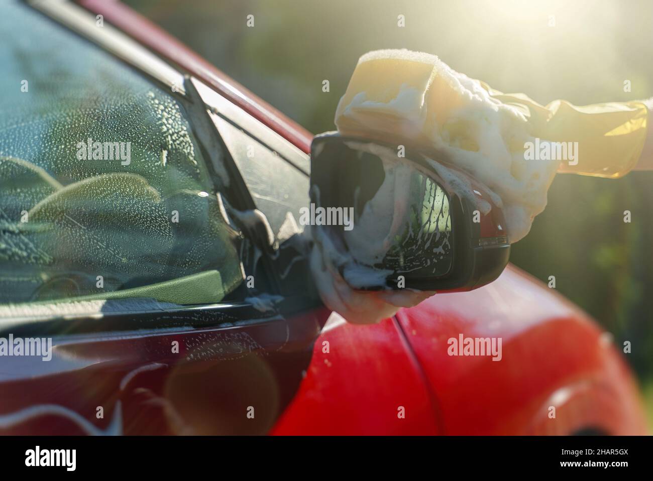 Donna in guanti lava lo specchietto retrovisore con spugna. Foto Stock