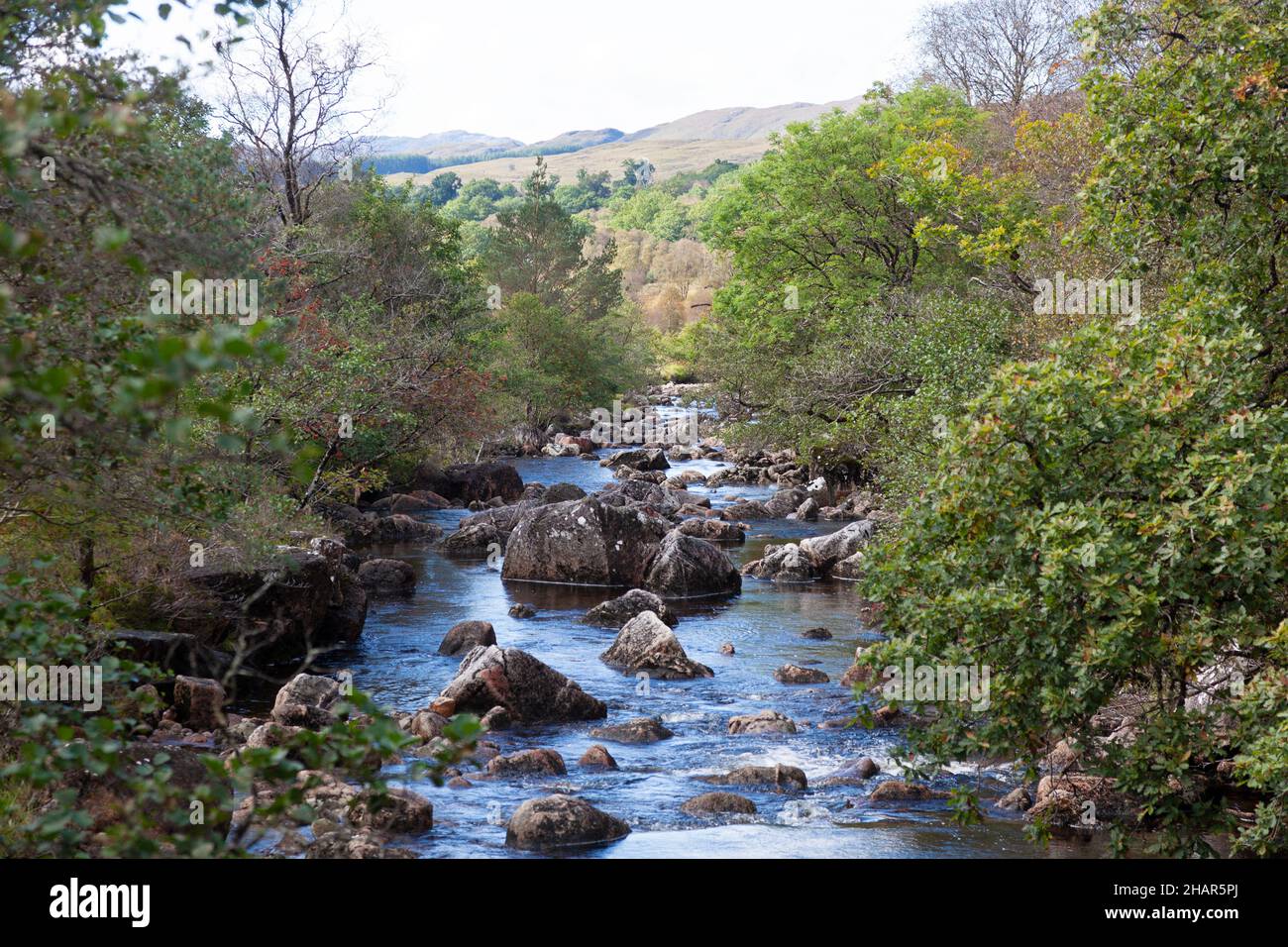 Il fiume Strontian passando attraverso antichi boschi di oakwoods di Ariundle, una riserva naturale che attrae visitatori a Strontian, Scozia occidentale Foto Stock