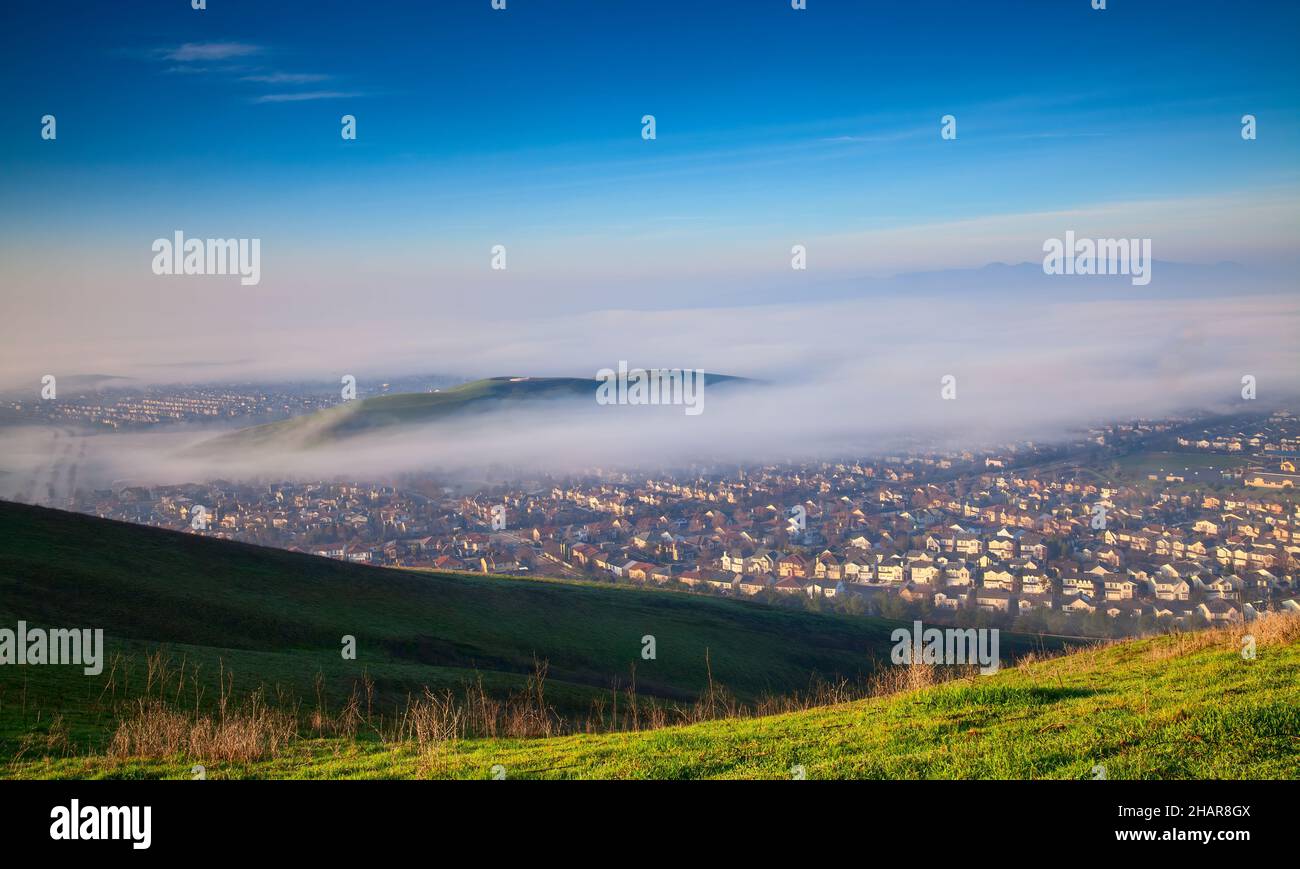 Nebbia mattutina a San Ramon Tri-Valley, California Foto Stock
