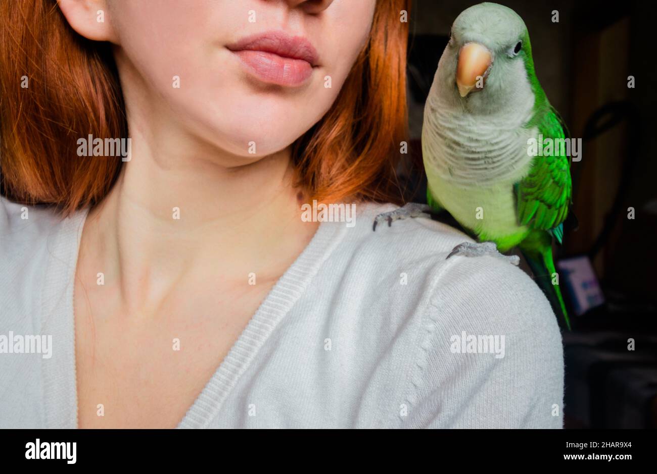 Un pappagallo verde si siede sulla spalla di una ragazza dai capelli rossi. Foto Stock
