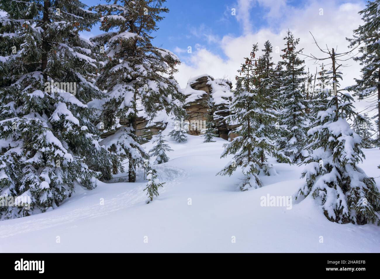 Paesaggio invernale di montagna. Alberi in foresta coperta di hoarfrost e neve. Monti Jizera, Jakuszyce, Polonia, Europa. Foto Stock