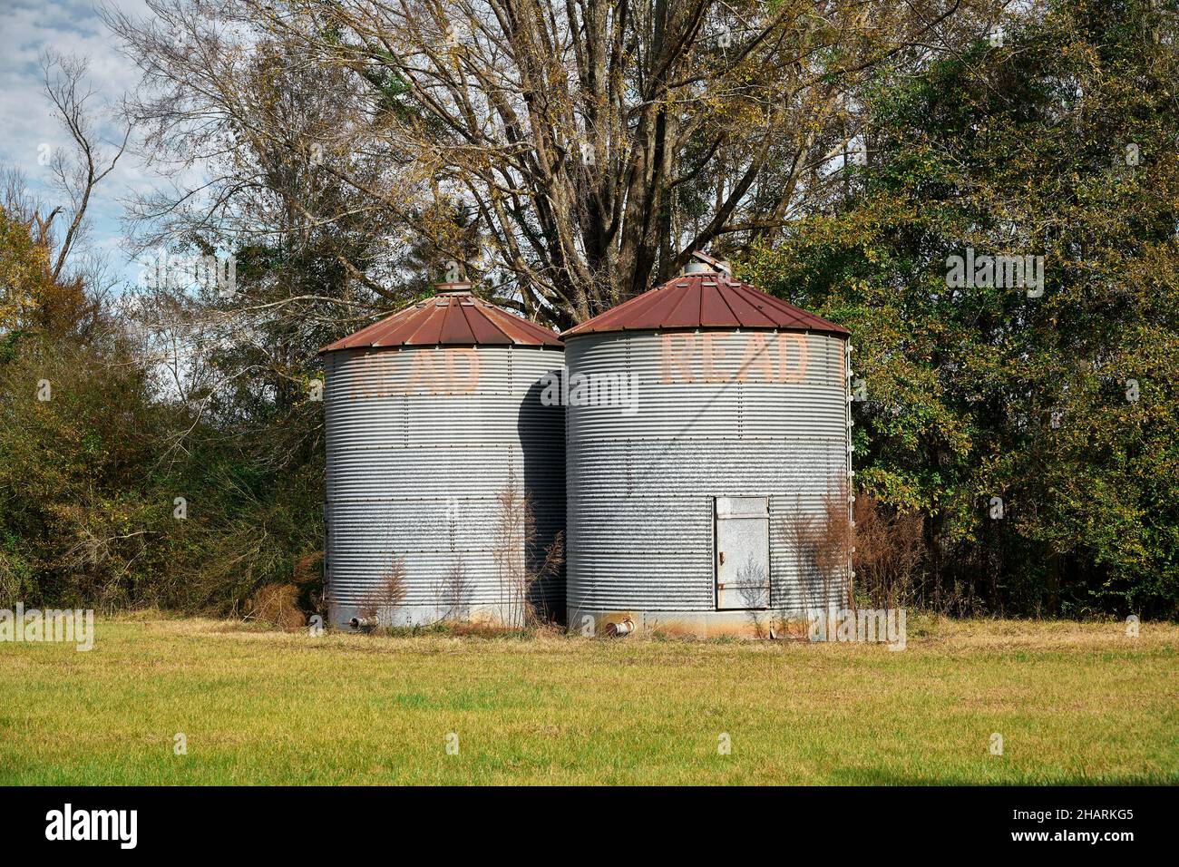 Serbatoi di deposito di grano piccoli o silos per immagazzinare grano raccolto su una fattoria piccola in Alabama rurale, Stati Uniti d'America. Foto Stock