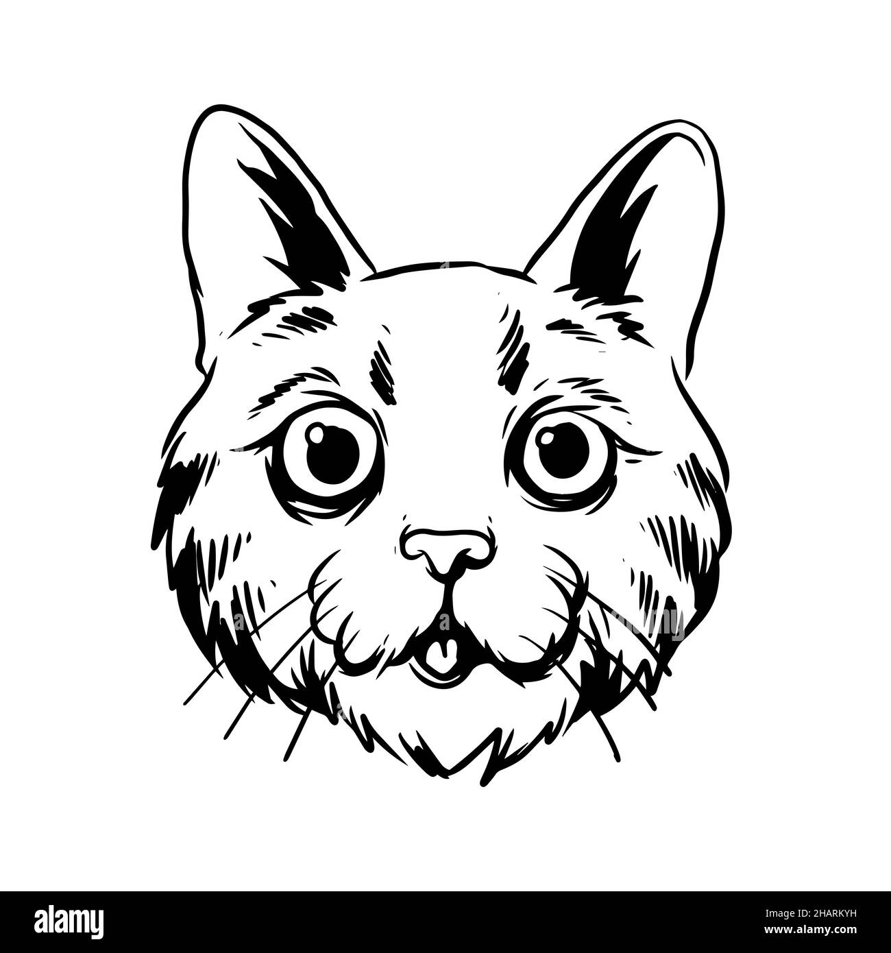 un gatto con una bella illustrazione del viso. una illustrazione disegnata a mano di una testa animale selvaggia. disegno di arte di linea per emblema, poster, adesivo, tatuaggio, ecc. Foto Stock