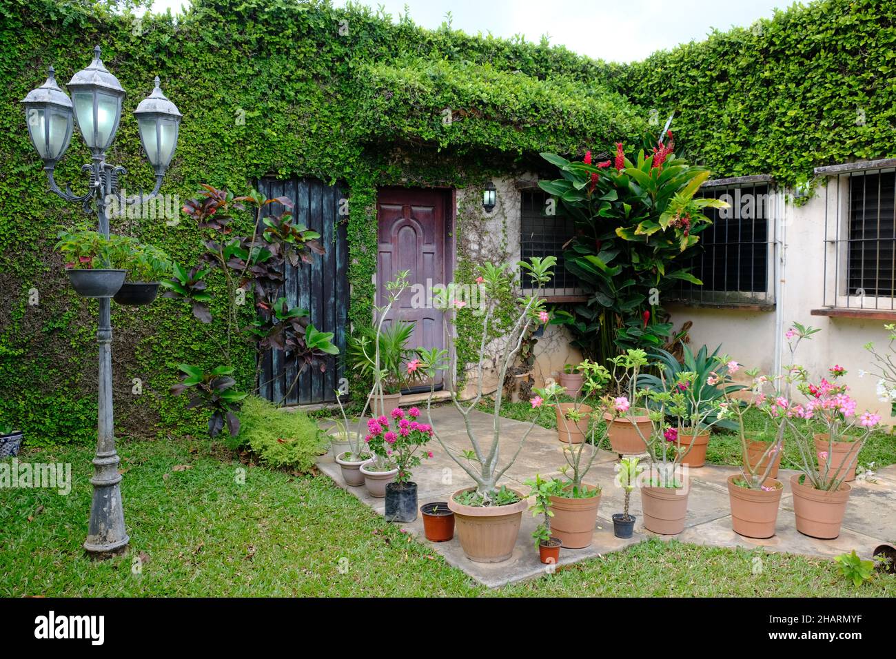 Mexico Valladolid - bellissimo giardino di una casa di città Foto Stock