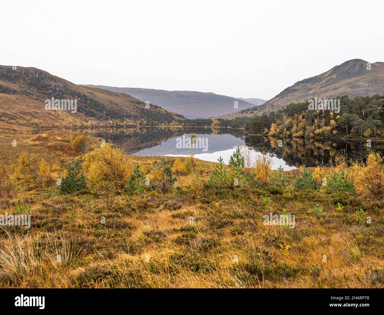 Loch Clair Torridon, Scozia Foto Stock