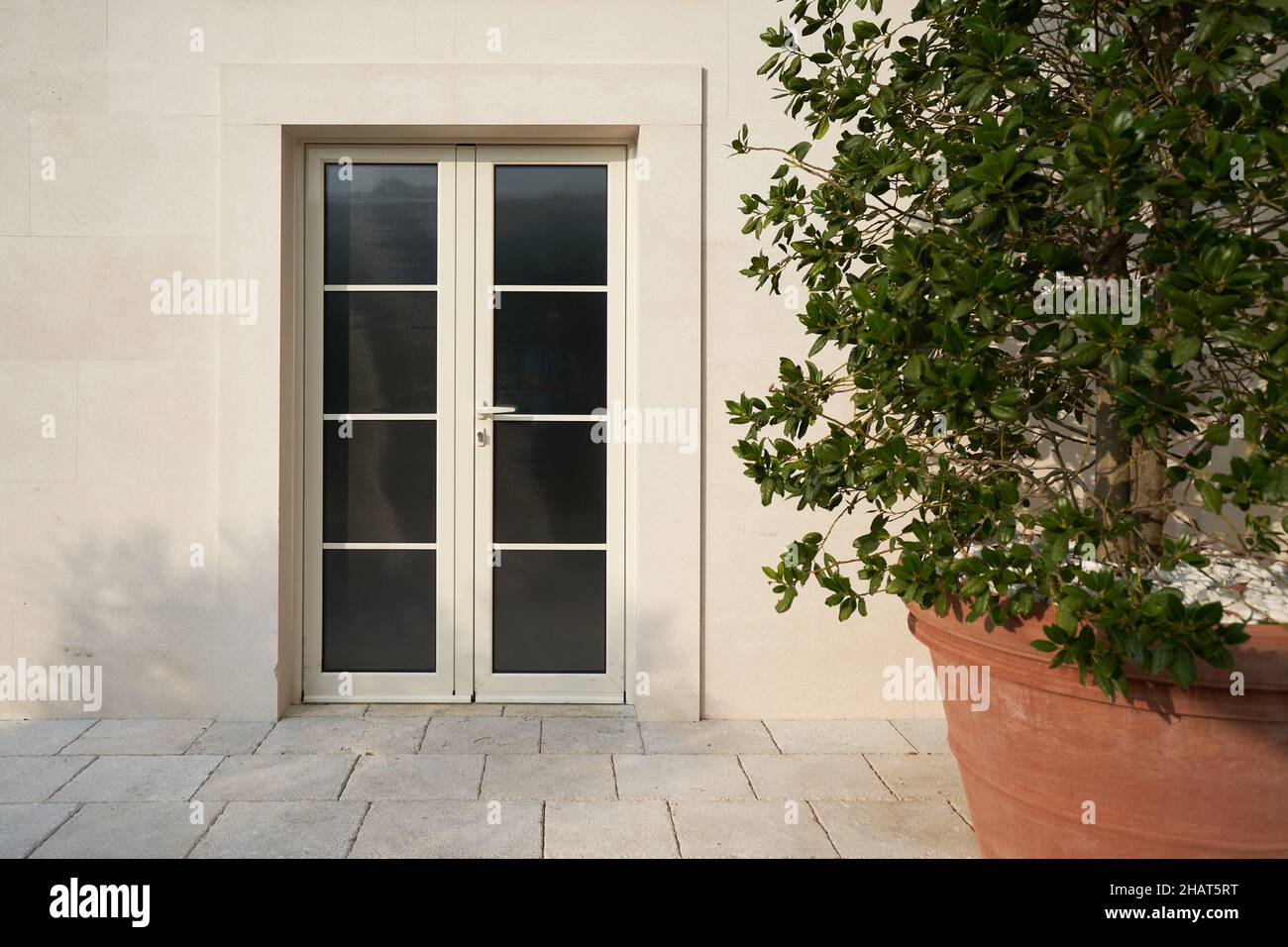 Porta in pvc beige con vetro sulla facciata di un edificio moderno. Foto Stock