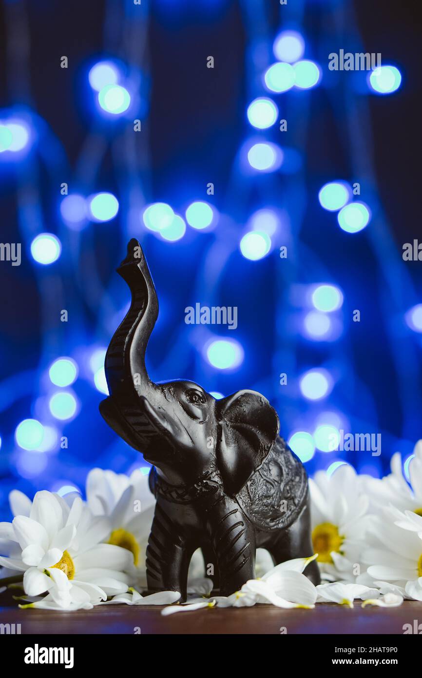 Figura di un elefante in fiori margherita su sfondo blu. Figurina di elefante di pietra nera tra camomilla Foto Stock