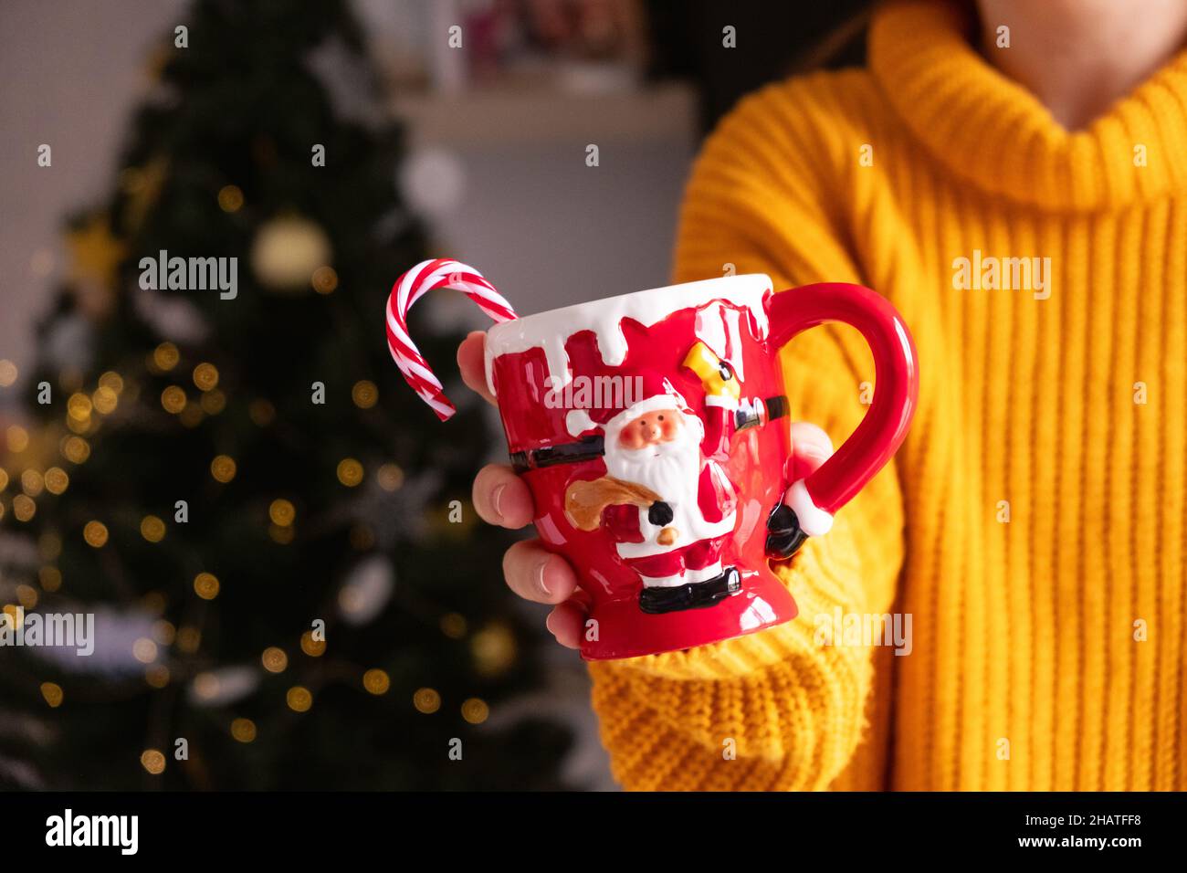 Donna irriconoscibile in maglione arancione tenere babbo natale tazza con canna da zucchero, albero di natale sfondo. Foto Stock