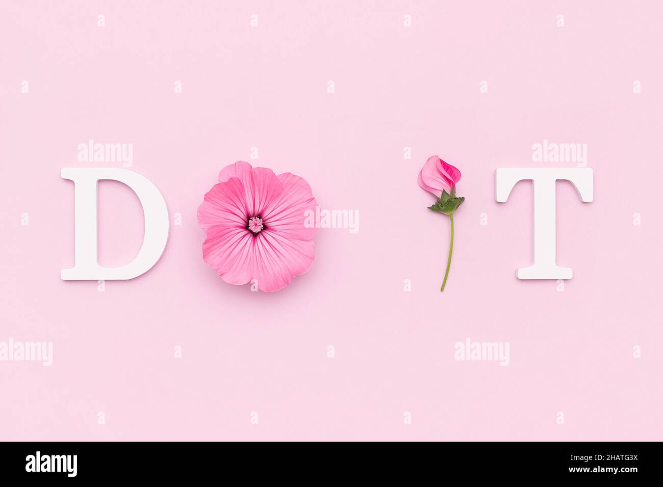 Farlo. Citazione motivazionale da lettere bianche e fiori naturali di bellezza su sfondo rosa. Concetto creativo citazione ispiratrice del giorno. Foto Stock