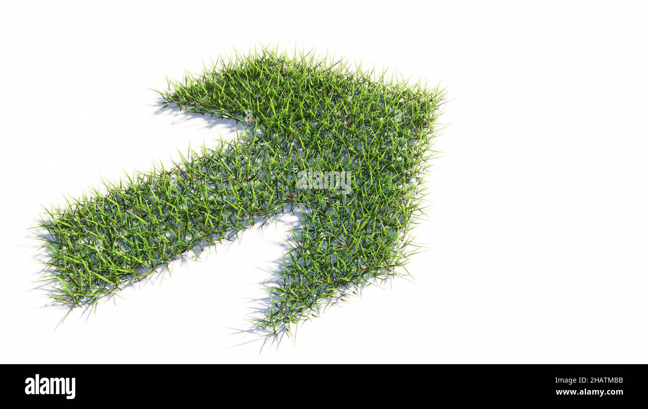 Concetto o concettuale verde estate prato erba simbolo forma isolato sfondo bianco, segnaletica stradale. metafora di illustrazione 3d per la navigazione, strategia Foto Stock