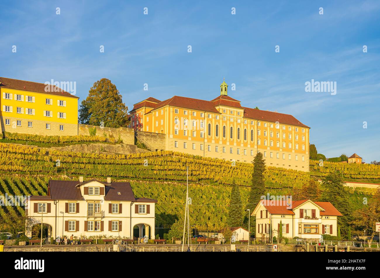 Azienda vinicola degli Stati Uniti Meersburg al lago di Costanza, Baden-Württemberg, Germania. Foto Stock