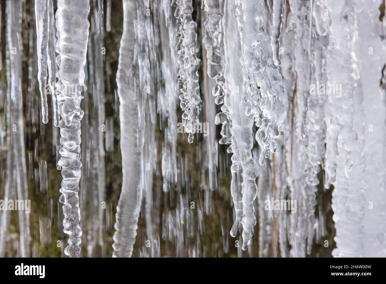 Un sacco di ghiaccioli a cascata al fiume Ammer in Baviera Foto Stock