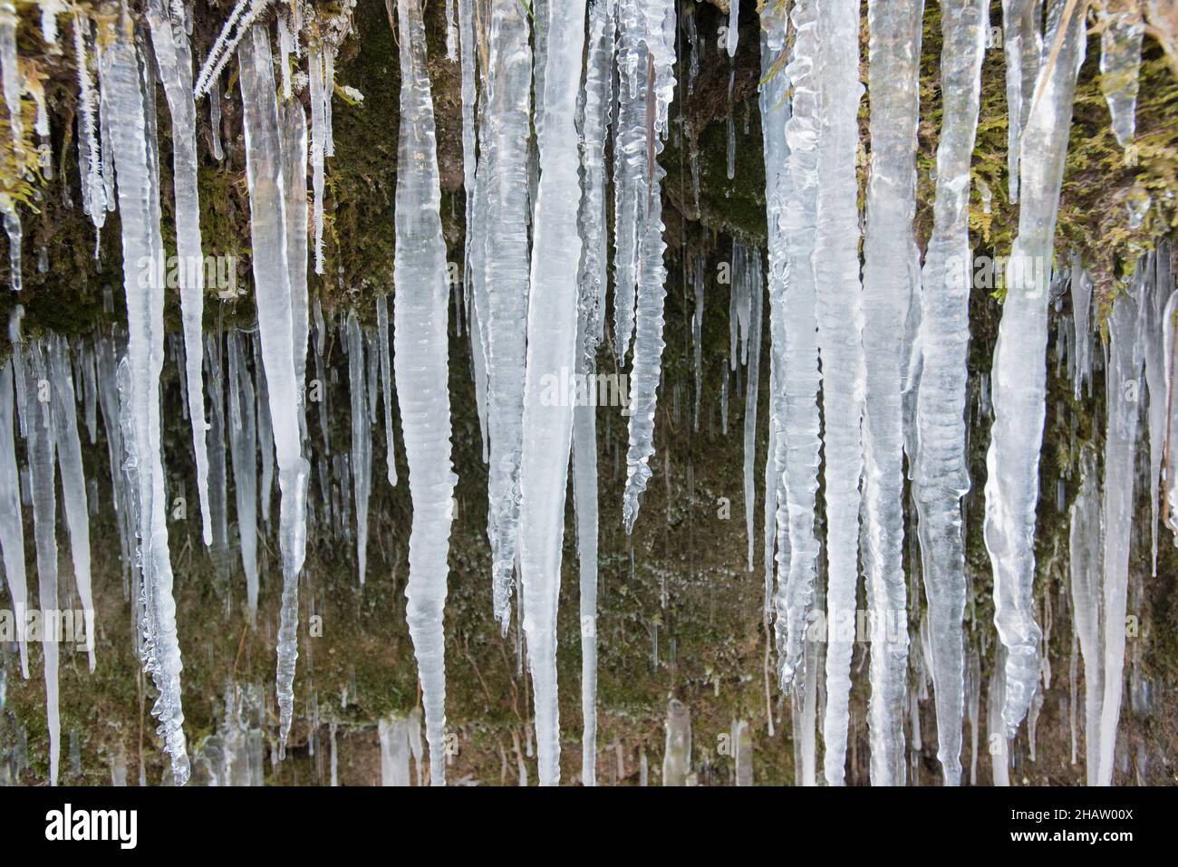 Un sacco di ghiaccioli a cascata al fiume Ammer in Baviera Foto Stock