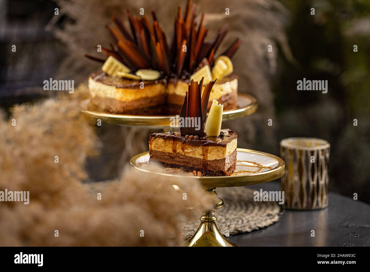 Deliziosa torta al cioccolato ricca con scaglie di cioccolato bianco e scuro sulla parte superiore Foto Stock