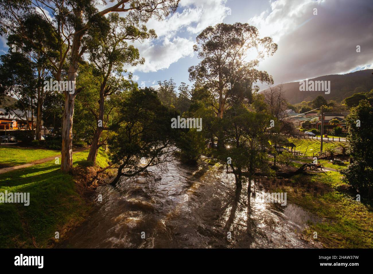 La luce del pomeriggio in autunno è gettata sopra un fiume inondato di Yarra dopo le tempeste pesanti a Warburton, Victoria. Australia Foto Stock