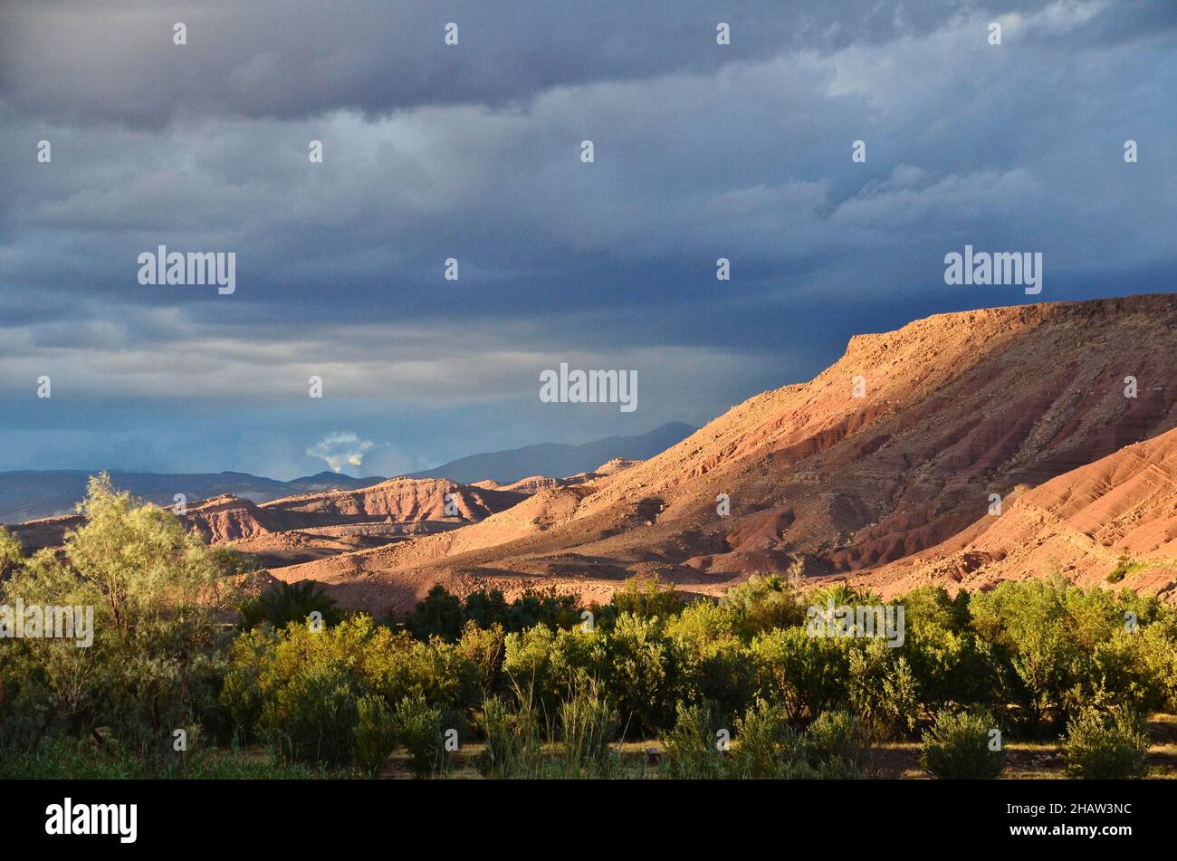 Valle di Draa con alberi e montagne pianeggianti al sole serale, Marocco Foto Stock