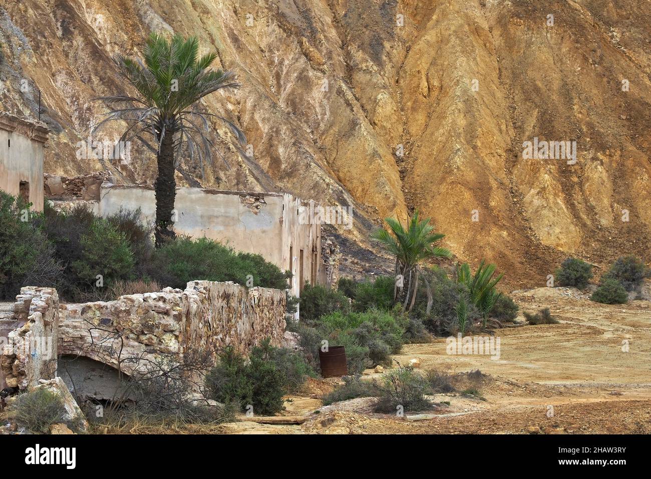 Alberi di palma con rovina sul sito della miniera, Mazarron, Murcia, Spagna Foto Stock
