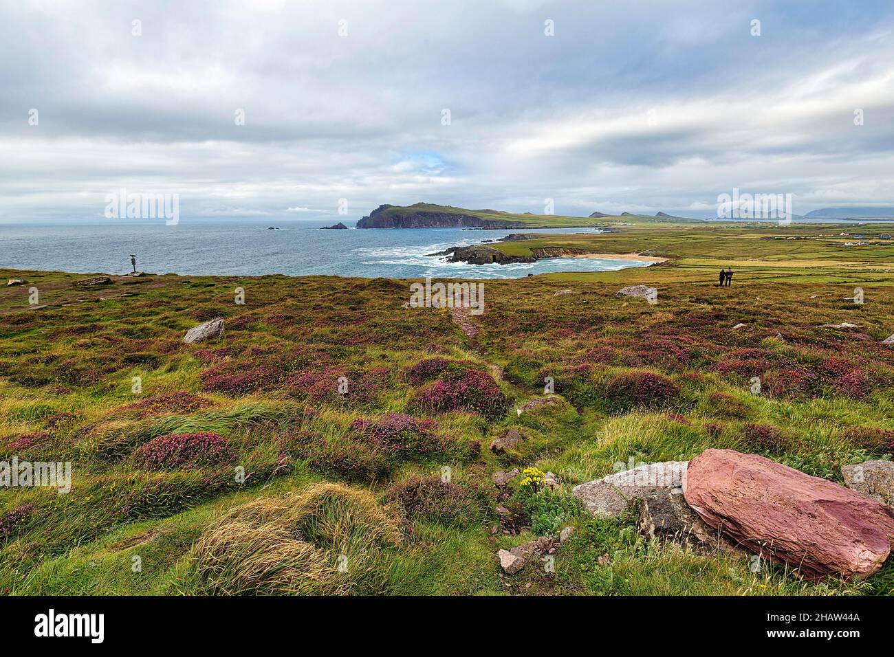 Punto panoramico Clogher Head, vista della costa atlantica, Clogher Beach, Sybil Point, le tre Sorelle e il Monte Brandon all'orizzonte, Slea panoramica Foto Stock