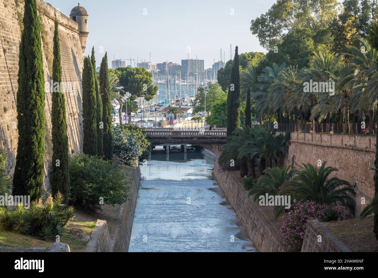 Torrente de la Riera Canal, Old Town, Palma, Maiorca, Spagna Foto Stock