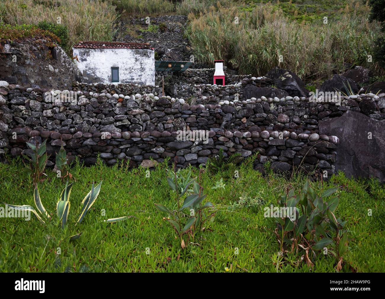 Abitazione con muro di pietra lavica e giardino nel villaggio di Rocha da Relva, Isola di Sao Miguel, Azzorre, Portogallo Foto Stock