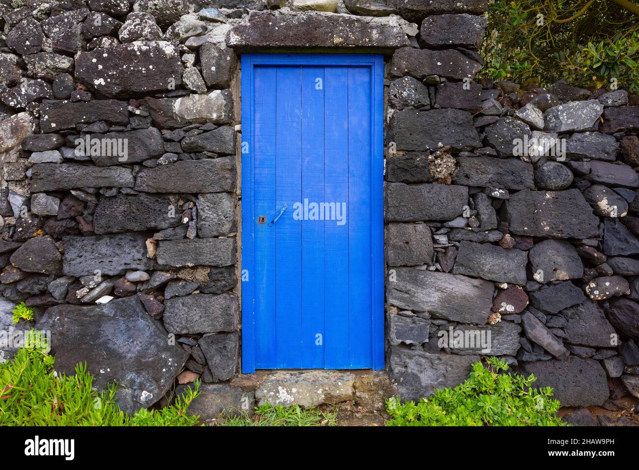 Muro in pietra lavica con porta d'ingresso blu, Rocha da Relva, Sao Miguel, Azzorre, Portogallo Foto Stock