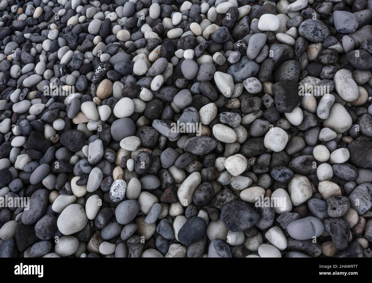 Fuco colpo, grandi pietre rotonde sulla spiaggia di Rocha da Relva, Isola di Sao Miguel, Azzorre, Portogallo Foto Stock