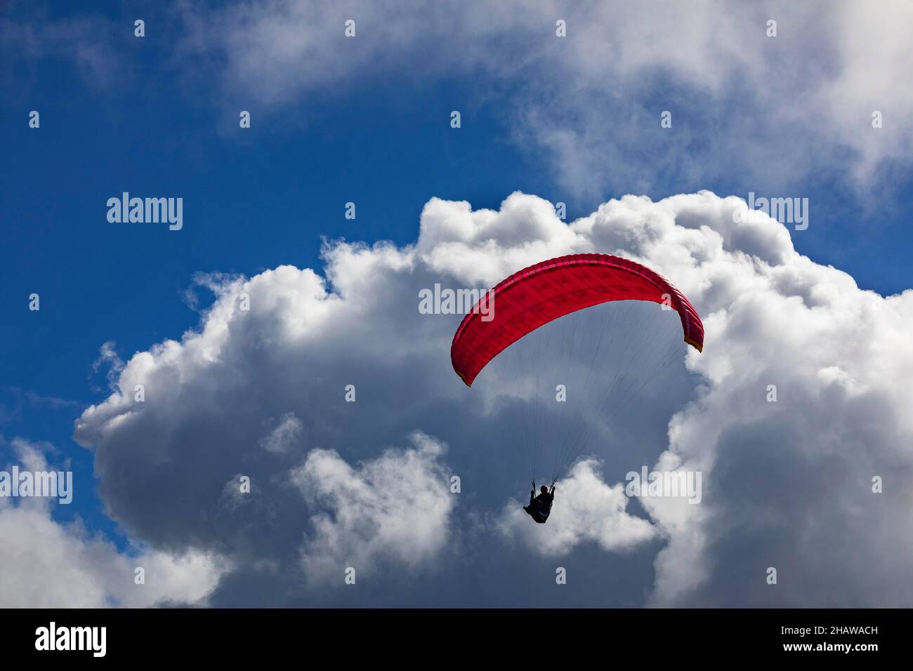 Parapendio con cielo nuvoloso dopo il decollo da Pico Barrosa, Isola di Sao Miguel, Azzorre, Portogallo Foto Stock