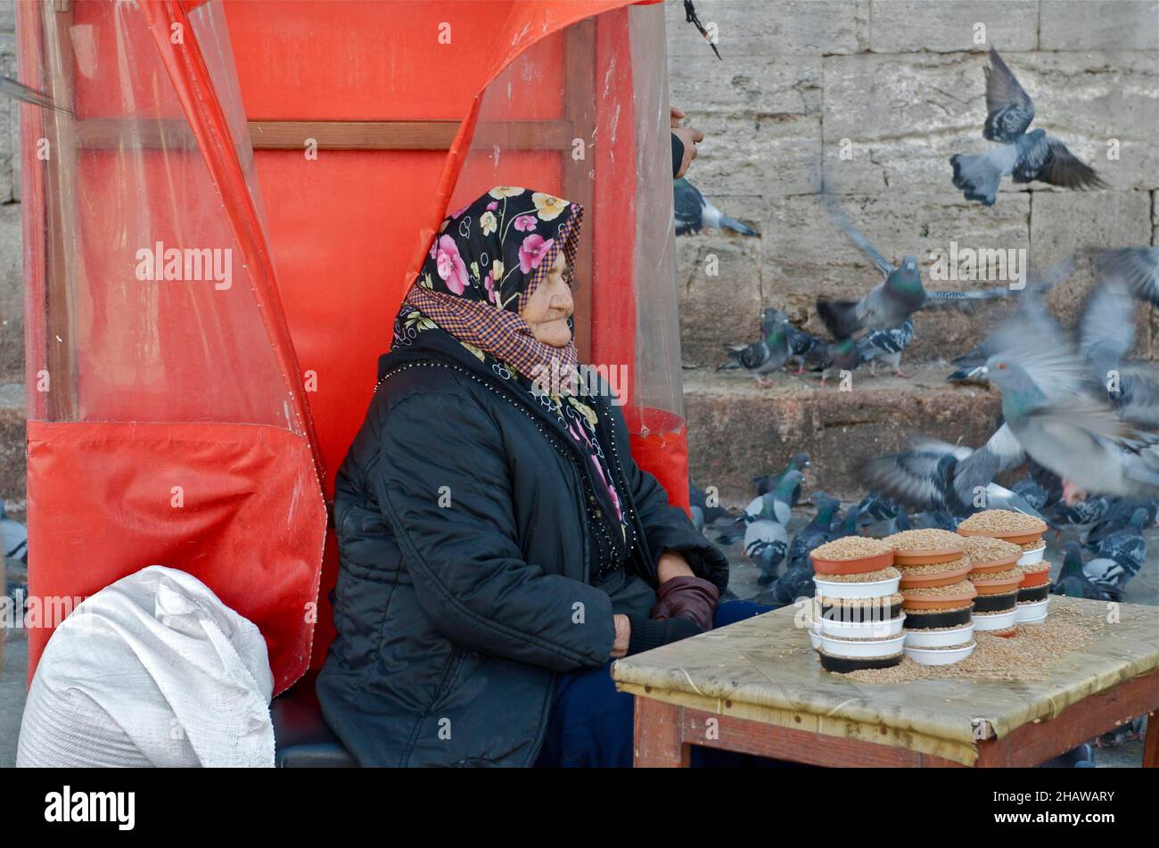 Donna anziana con foulard che vende cibo piccione volante, Istanbul, Turchia Foto Stock