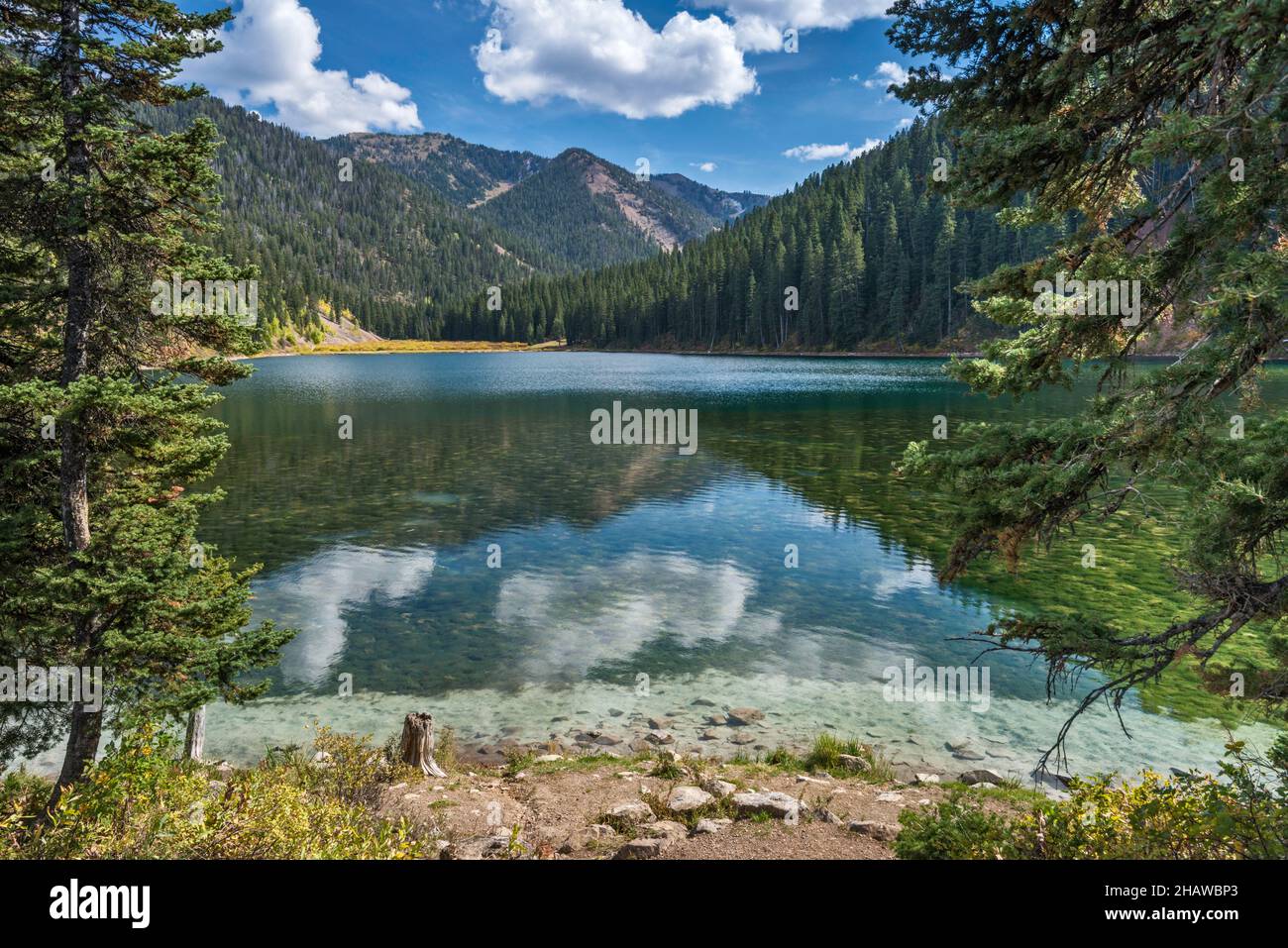 Cottonwood Lake, Salt River Range, Bridger Teton National Forest, Wyoming, USA Foto Stock