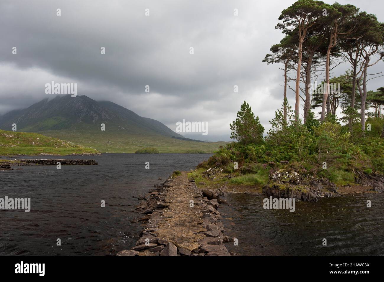 Pines Island, Lake Derryclare Lough, Connemara, County Galway, Repubblica d'Irlanda Foto Stock