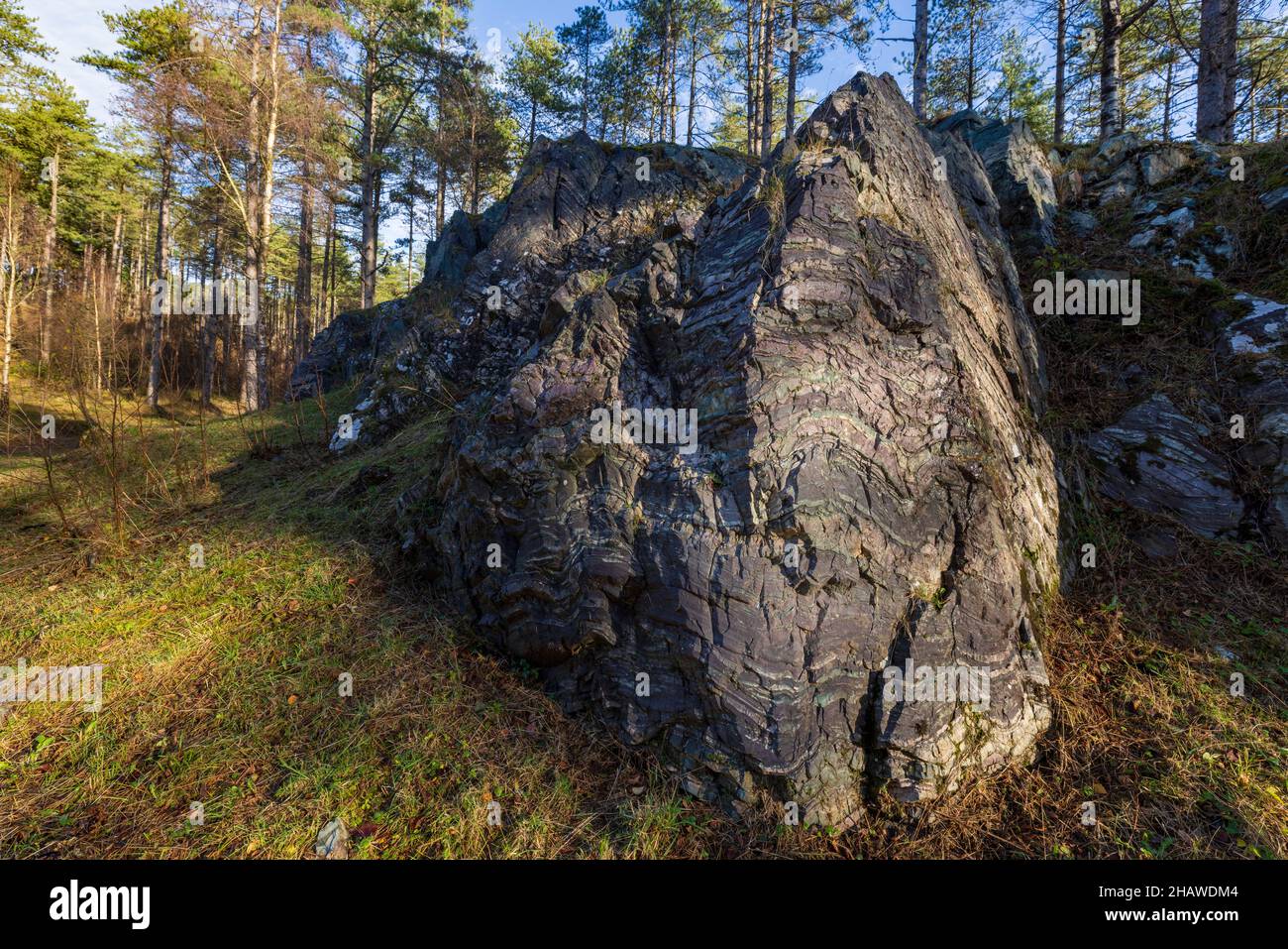 Un dentifricio roccia di Lava nella foresta di Newborough sull'isola di Anglesey, Galles del Nord Foto Stock