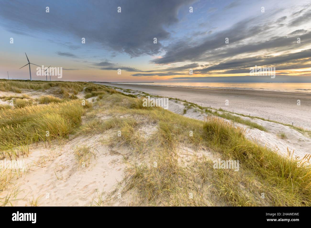 Vista panoramica della duna di sabbia sulla costa del mare del Nord al tramonto vicino Wijk aan Zee, provincia Noord Holland, Paesi Bassi. Paesaggio scena di europeo n Foto Stock